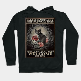 Salem sanctuary for wayward cats Hoodie